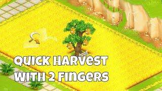 How to make Quick Harvest with 2 fingers? | Hay Day Tips & Tricks