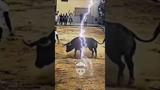 Bull Shocked #phonk #trollface #edit #shorts