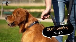 Active Pets Strong Dog Leash