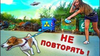 Мной управляет Собака Джина выгуливает меня Играем Крит | Elli Di Pets