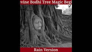 Bodhi Tree Spirit  – Enlightenment & Awakening Booster | Rain Sounds for Deep Wisdom ️ #healing