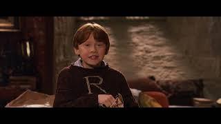 Harry Potter and the Philosopher's Stone / an invisibility cloak