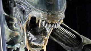AVP pictures off Aliens And Predators