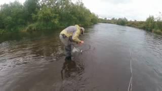 Kamchatka fly fishing - mouse fishing August 2016