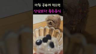 아침 공복에 먹으면 산삼보다 좋은 음식 #shorts #건강정보 #건강 #건강관리 #건강식 #건강식단 #음식 #건강상식 #아침 #food #생생정보 @생생정보TV