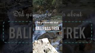 Bali Pass Trek is one of the most beautiful and unknown Trek of India. #trek #travel #adventure