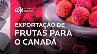 Exportação de frutas para o Canadá | Cases de Sucesso CCBC