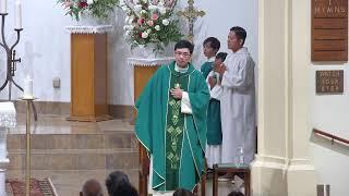 7:00PM VN Mass, Thirty Second Sunday In Ordinary Time