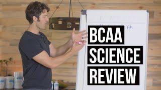 BCAA & Leucine Supplement Review