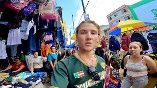 Pilgart Explores Ecuador (BEST MOMENTS) 