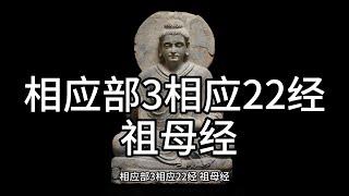 相应部3相应22经 祖母经，中文白话翻译。（133）