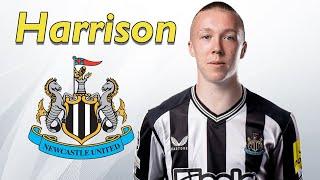 Alfie Harrison ● Welcome to Newcastle ️️