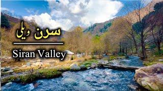 Siran Valley Mansehra  Explore Hidden Valley Jabori Sachan Mansehra kpk