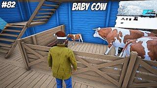 3 NEW BABY COWS | RANCH SIMULATOR PART 82 IN HINDI