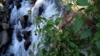 Manas National Park... Amazing