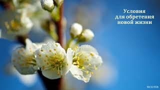 "Условия для обретения новой жизни". А. Ю. Баскаков. МСЦ ЕХБ