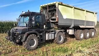 Großeinsatz Maishäckseln 2024  10 Fahrzeuge Lohnunternehmer im Einsatz farmer corn harvest Maisernte