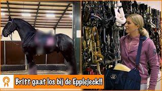 SHOPPEN VOOR EVE, JOHNNY en GEORGE | PaardenpraatTV