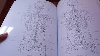 Unboxing and Flip Through: Artistic Anatomy by  Dr. Paul Richer