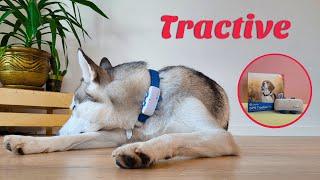 Tractive GPS tracker - everything you need to know in 2 minutes