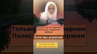Как вернуть Палестину?Шейх ибн Усеймин #напоминание #палестина  #усеймин #ислам