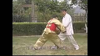 趙建國老師 通臂拳 迎敵十二連拳 #martialarts #kungfu