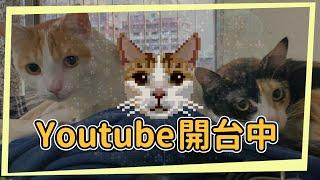 Twitch發表會掛台有KDA計算頭盔造型(只能twitch 到明天中午) 半夜有Cosplay 6/6直播發表會 6/14 3.26開 有兩次cosplay