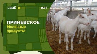 Приневское. Молочные продукты / Своё с Андреем Даниленко / Выпуск №16