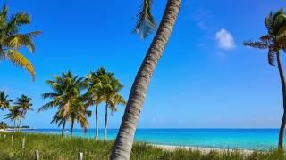 Live at the Beach in Key West in this Oceanfront Condo! A Virtual Tour.