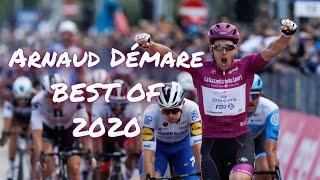 Arnaud Démare - BEST OF 2020