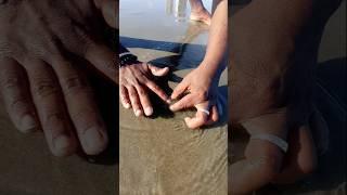 Unbelievable Catching with Empty Hand #fishing #fishingvideos #seafishing #thoondilulagam