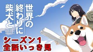 世界の終わりに柴犬と まとめていっき見 シーズン1 全話【アニメ / 漫画 / 切り抜き】