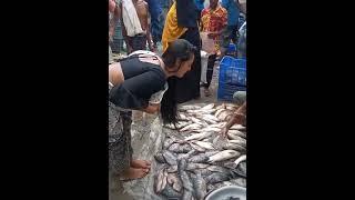 hijra third gender women take fish from a businessman #shorts