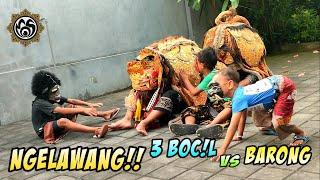 Ngelawang!! 3Boc!L X Barong macan #mos_bali Sekaa Barong Tampakgangsul