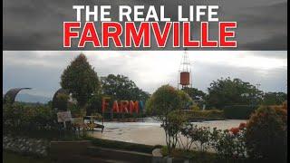 REAL LIFE FARMVILLE