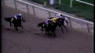 Alysheba - 1988 Woodward Stakes