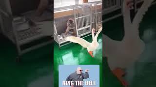 #Bro forgot that he was not  a human for a second..!!Lol!!#funny #funnyshorts #funnyclipzz