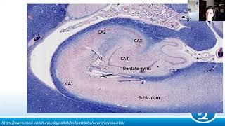 AANP Teaching Rounds - April 26, 2023 - Neuropathology of Epilepsy