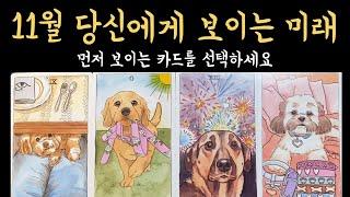 [타로] 11월 너무 정확해서 소름 돋을 이야기, 진심으로 기원합니다