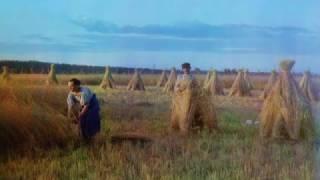 Мамашенька бранится