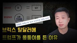 브릭스 탈달러에 100% 관세 몽둥이를 든 트럼프(ft.비트코인)