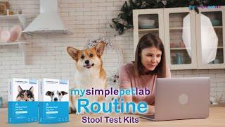 Test Your Pet's Stool From Home: Fast, Simple, and Vet Approved!