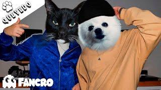 QUEVEDO || BZRP Music Sessions #52 (Cover Animales)