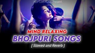 Nonstop Enjoy Bhojpuri Vibes Songs | Pawan Singh, Khesari Lal | Slowed and Reverb | ABT Lofi Music