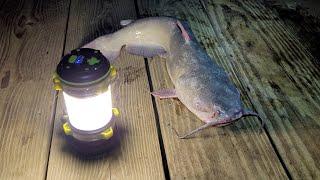 Catfish Bait and Lure Fishing Challenge, 2022