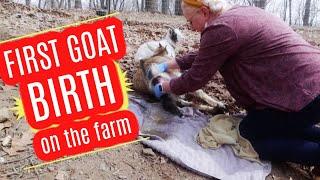 FIRST GOAT BIRTH on the FARM! ((GRAPHIC GOAT BIRTH!!)) // SUDDEN HOMESTEAD with Jamerrill!
