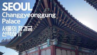 [Seoul 4K] 서울의 5대궁 가을의 창경궁 구석구석 산책하기 Changgyeonggung Palace in Seoul