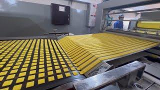 "Inside the Art of Biscuit Making: Factory Tour." SAFIA FOODS PVT LTD.