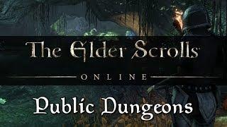 Elder Scrolls Online - Public Dungeons