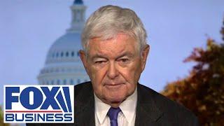 This will be a disaster for House Republicans, Trump in the fall, Gingrich warns